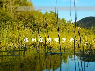 耀州区法院王勇 耀州区法院王勇