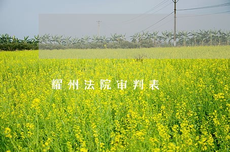 耀州法院审判表 耀州法院审判表