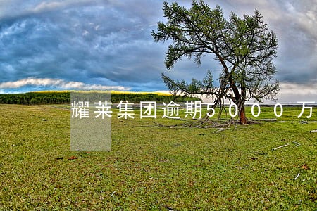 耀莱集团逾期5000万
