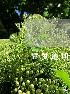 耀贷逾期会上征 耀贷逾期会上征