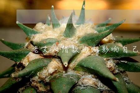 老丈人借款逾期影响自己吗 老丈人借款逾期影响自己吗