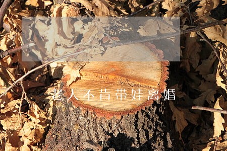 老人不肯带娃离婚 老人不肯带娃离婚