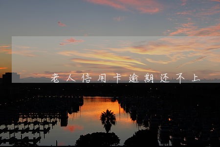 老人信用卡逾期还不上 老人信用卡逾期还不上