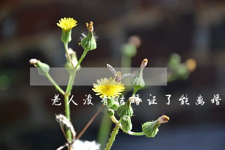 老人没有结婚证了能离婚吗 老人没有结婚证了能离婚吗