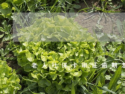 老人社保卡审证逾期怎么办 老人社保卡审证逾期怎么办