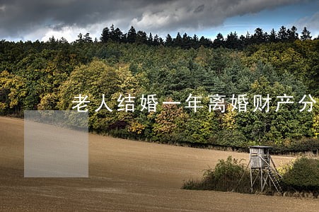 老人结婚一年离婚财产分割 老人结婚一年离婚财产分割