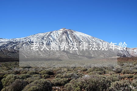 老人赡养法律法规年龄