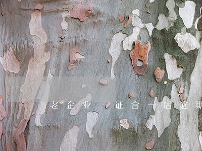 老企业三证合一后逾期 老企业三证合一后逾期