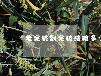 老余杭到余杭法院多少路 老余杭到余杭法院多少路