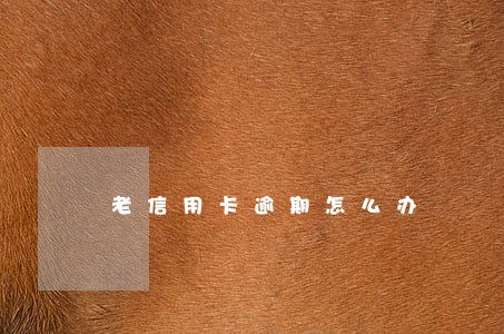 老信用卡逾期怎么办