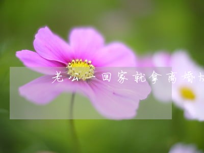 老公一回家就拿离婚协议 老公一回家就拿离婚协议
