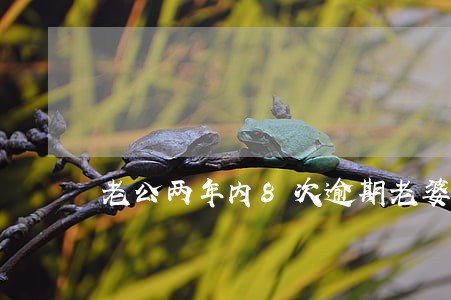 老公两年内8次逾期老婆怎么买房 老公两年内8次逾期老婆怎么买房
