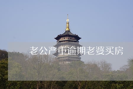老公严重逾期老婆买房