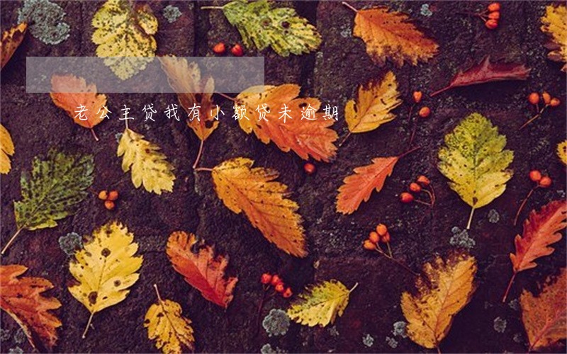 老公主贷我有小额贷未逾期 老公主贷我有小额贷未逾期