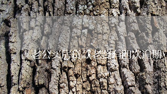 老公买房贷款老婆有四次逾期 老公买房贷款老婆有四次逾期