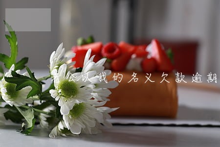 老公以我的名义欠款逾期 老公以我的名义欠款逾期