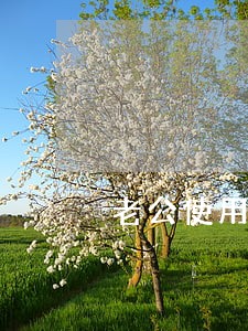 老公使用妻子信用卡逾期
