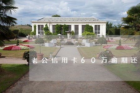 老公信用卡60万逾期还不上 老公信用卡60万逾期还不上