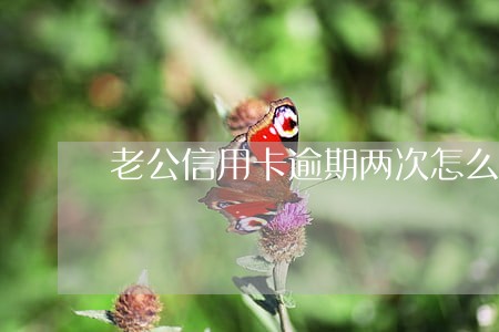 老公信用卡逾期两次怎么办