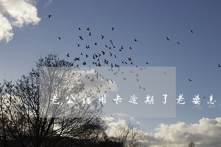 老公信用卡逾期了老婆怎么办
