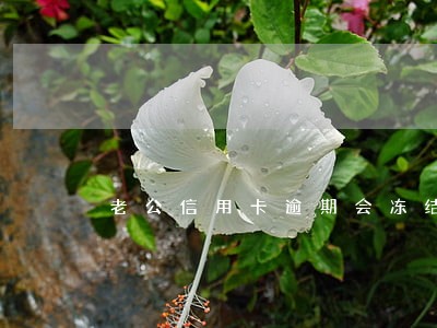 老公信用卡逾期会冻结账号吗 老公信用卡逾期会冻结账号吗