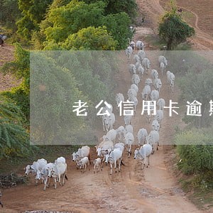 老公信用卡逾期会影响老婆银行卡 老公信用卡逾期会影响老婆银行卡