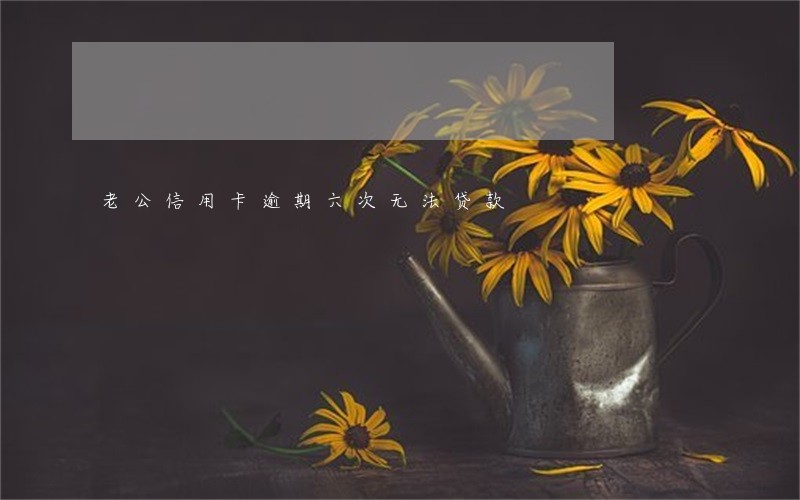 老公信用卡逾期六次无法贷款 老公信用卡逾期六次无法贷款