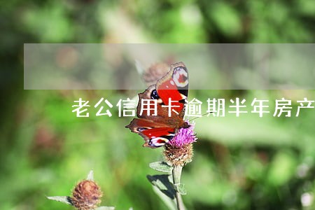 老公信用卡逾期半年房产会怎么样 老公信用卡逾期半年房产会怎么样