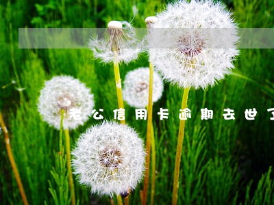 老公信用卡逾期去世了怎么办 老公信用卡逾期去世了怎么办