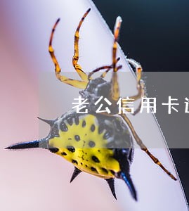 老公信用卡逾期好几年了 老公信用卡逾期好几年了