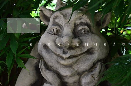 老公信用卡逾期对老婆的影响