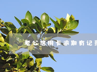 老公信用卡逾期有记录吗 老公信用卡逾期有记录吗