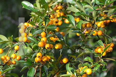 老公信用卡逾期没收 老公信用卡逾期没收