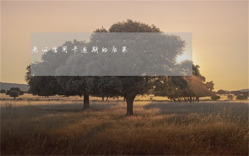 老公信用卡逾期的后果 老公信用卡逾期的后果