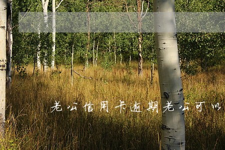 老公信用卡逾期老公可以贷款吗