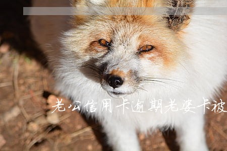 老公信用卡逾期老婆卡被冻结
