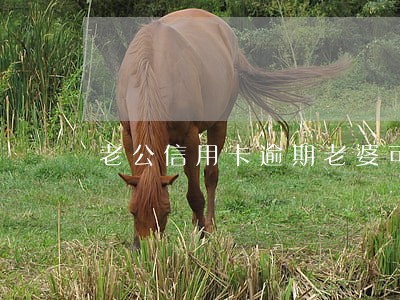 老公信用卡逾期老婆可以贷款吗 老公信用卡逾期老婆可以贷款吗