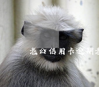 老公信用卡逾期老婆要帮忙还吗 老公信用卡逾期老婆要帮忙还吗