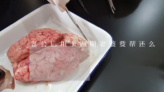 老公信用卡逾期老婆要帮还么
