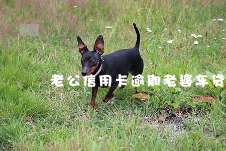 老公信用卡逾期老婆车贷