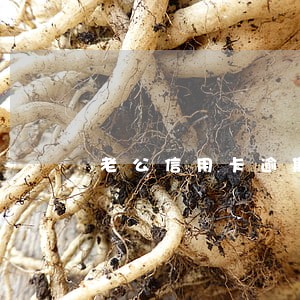 老公信用卡逾期还不上后果 老公信用卡逾期还不上后果