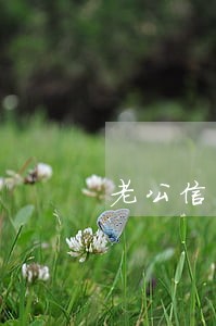 老公信用卡逾期银行骚扰家人 老公信用卡逾期银行骚扰家人