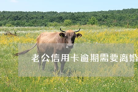 老公信用卡逾期需要离婚吗 老公信用卡逾期需要离婚吗