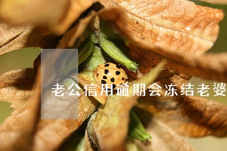老公信用逾期会冻结老婆账户吗 老公信用逾期会冻结老婆账户吗