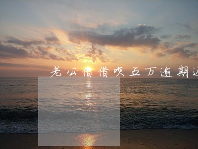 老公借借呗五万逾期还不上