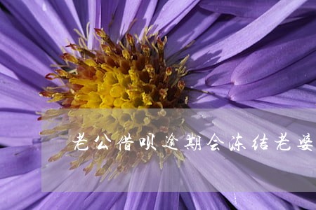 老公借呗逾期会冻结老婆银行卡吗 老公借呗逾期会冻结老婆银行卡吗
