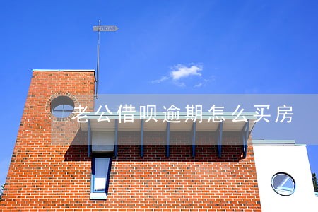 老公借呗逾期怎么买房 老公借呗逾期怎么买房