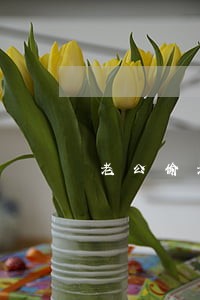 老公偷老婆的车开违法吗