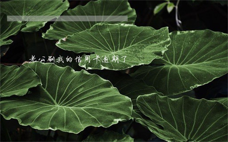 老公刷我的信用卡逾期了 老公刷我的信用卡逾期了