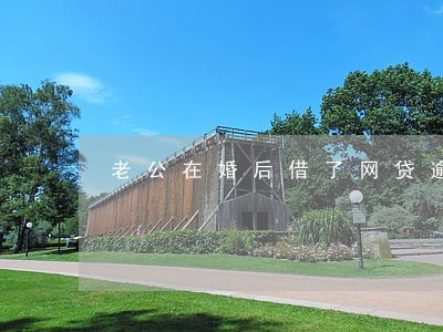 老公在婚后借了网贷逾期 老公在婚后借了网贷逾期